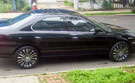 Greed_VIP